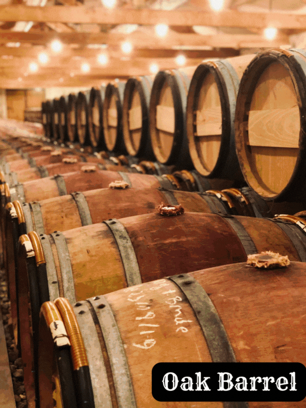 Beyond Oak: Exploring Five Alternative Vessels for Wine Fermentation