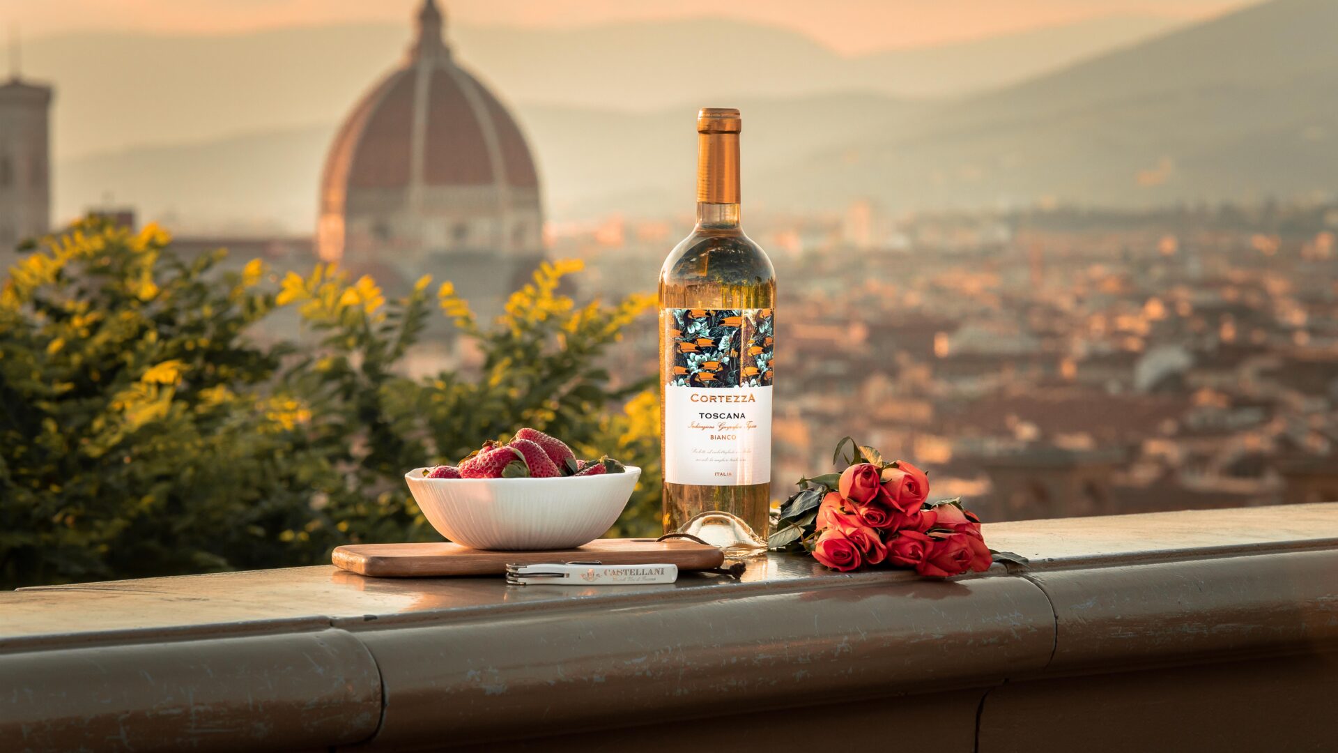 Exploring the World of Wine: Top 7 Wine Regions Every Beginner Should Know