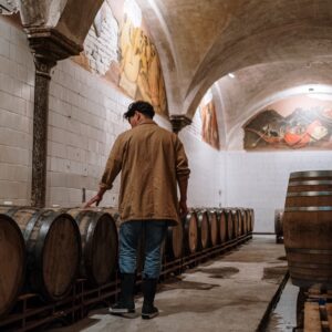 From Grape to Glass: A Novice’s Journey Through the Winemaking Process